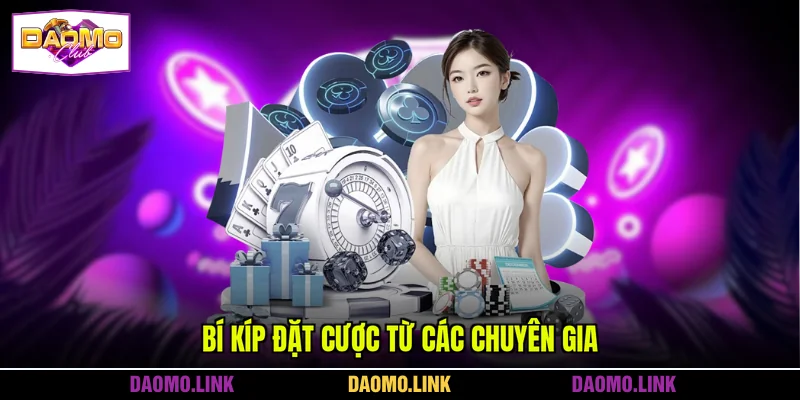 Bí kíp hay từ chuyên gia