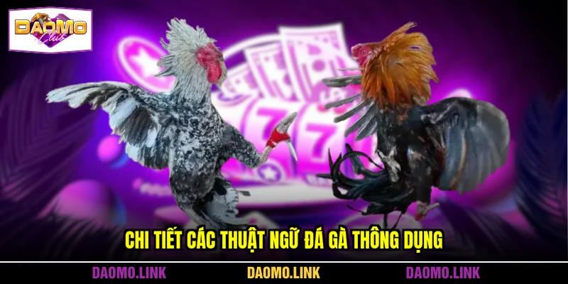 Chi tiết các thuật ngữ đá gà thông dụng