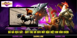 Đá Gà Cựa Sắt - Quy Tắc Và Sức Hút Đặc Biệt Khi Vào Cược