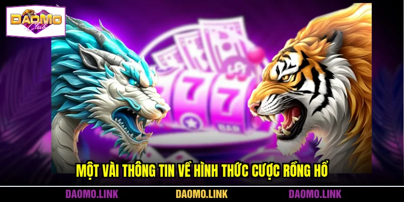 Một vài thông tin về hình thức cược Rồng hổ