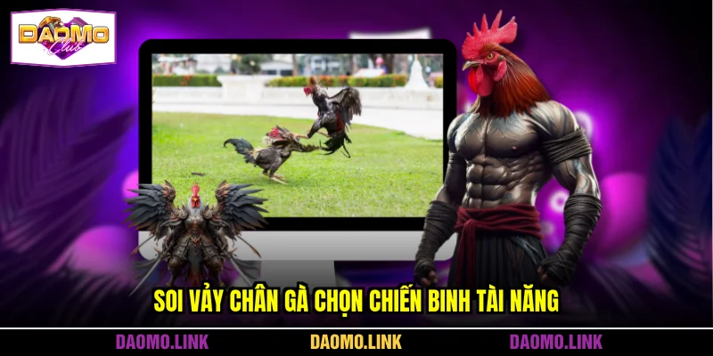 Soi vảy chân gà chọn chiến binh tài năng