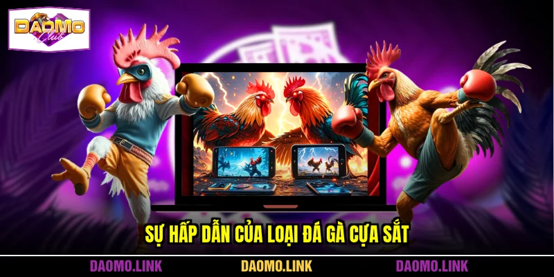 Sự hấp dẫn của loại đá gà cựa sắt