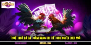 Thuật Ngữ Đá Gà - Cẩm Nang Chi Tiết Cho Người Chơi Mới