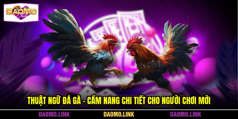 Thuật Ngữ Đá Gà - Cẩm Nang Chi Tiết Cho Người Chơi Mới